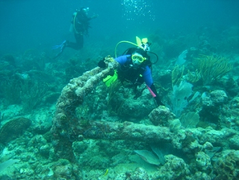 Diving in Tobago